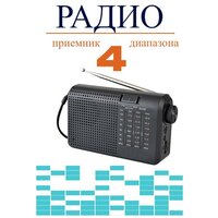 Радиоприемник портативный четырехдиапазонный FM/AM/SW1/SW2