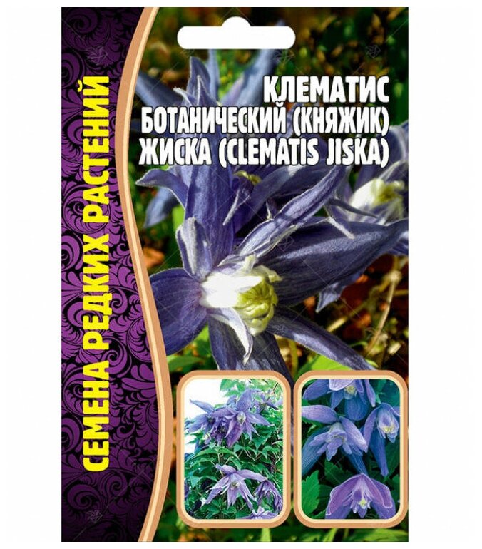 Семена Клематиса ботанического (княжик) Жиска (Clematis Jiska) (3 сем)