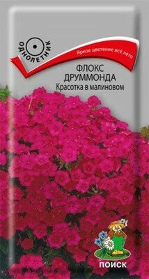 Флокс друммонда Красотка в малиновом однол. 0,1гр. (Поиск)