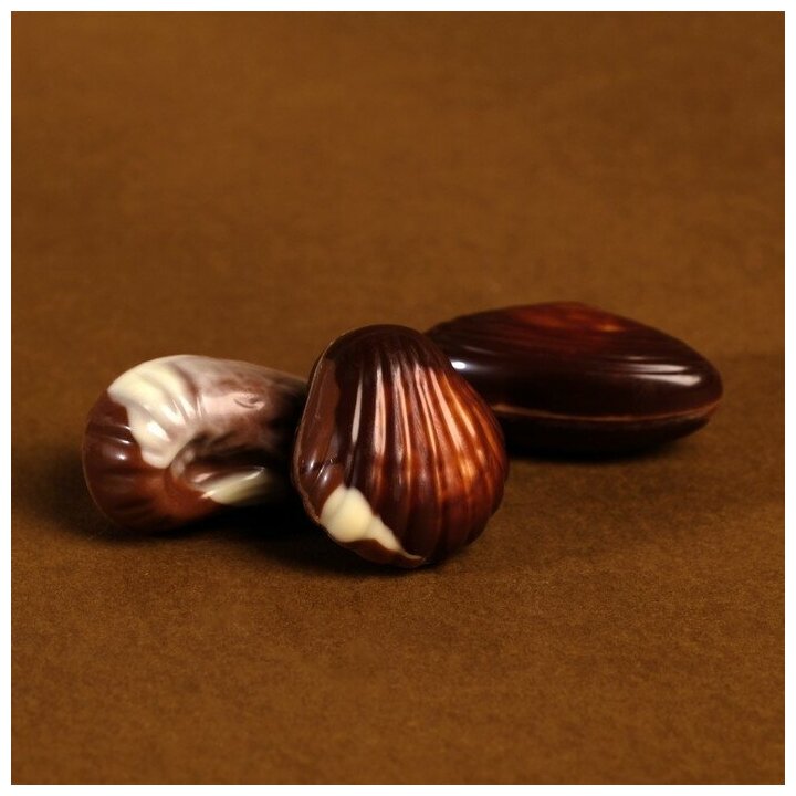 Конфеты шоколадные "Дары моря" с ореховой начинкой, 250 г