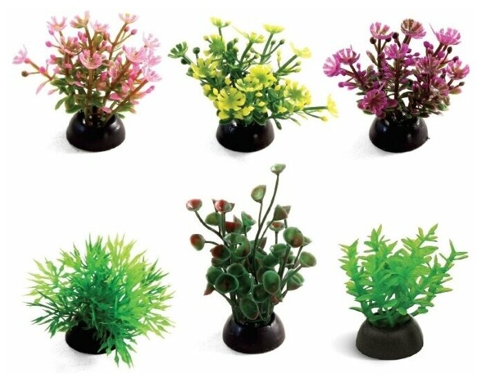 Растения Laguna (набор 6шт) разноцветные, 50мм