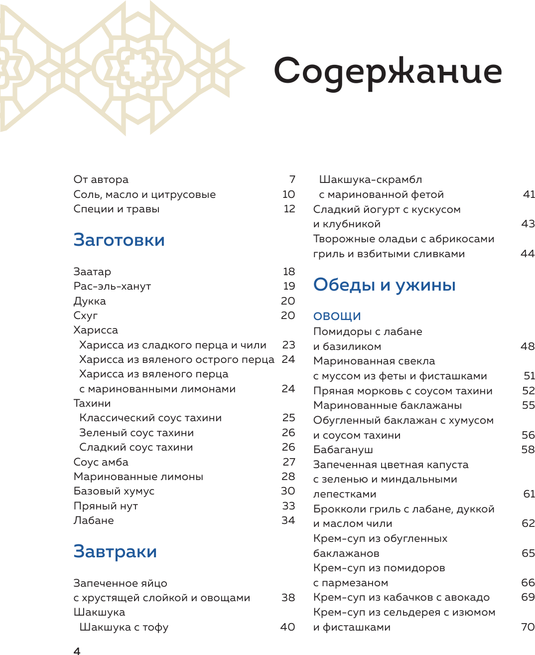 Хумус и соленые лимоны (Мокич Андрей Александрович) - фото №20