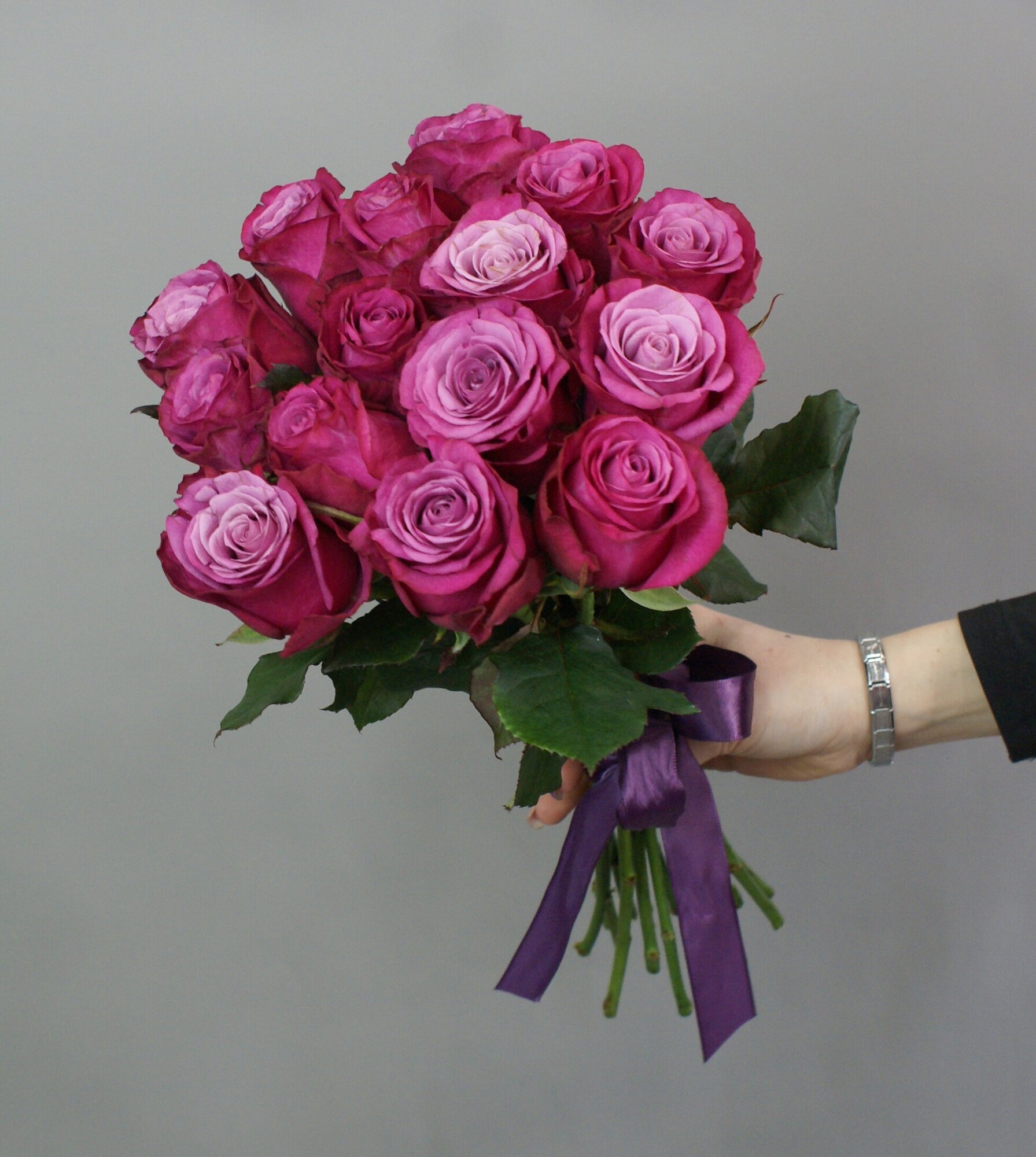 Розы фиолетовые