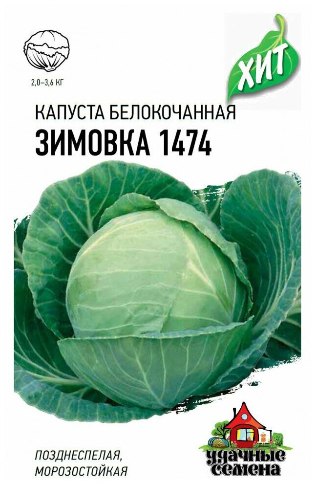 Удачные семена, Капуста белокочанная, Зимовка (для хранения) ХИТ 0,5 грамм