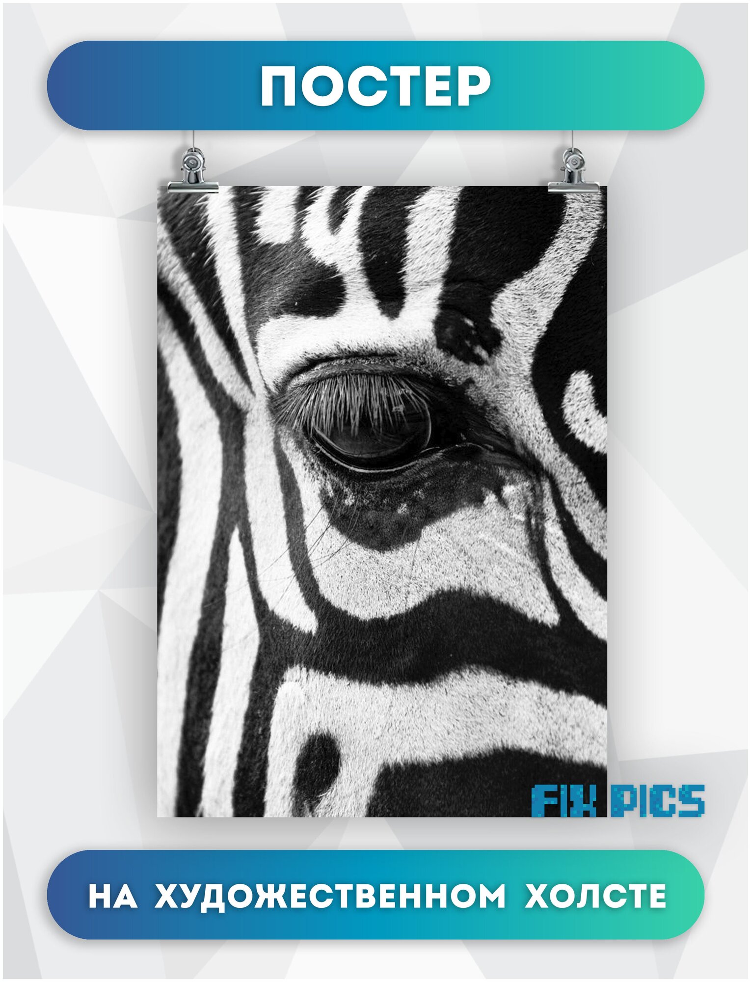 Зебра глаз зебры