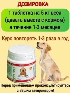 Витамины для собак POLIDEX - фото №5