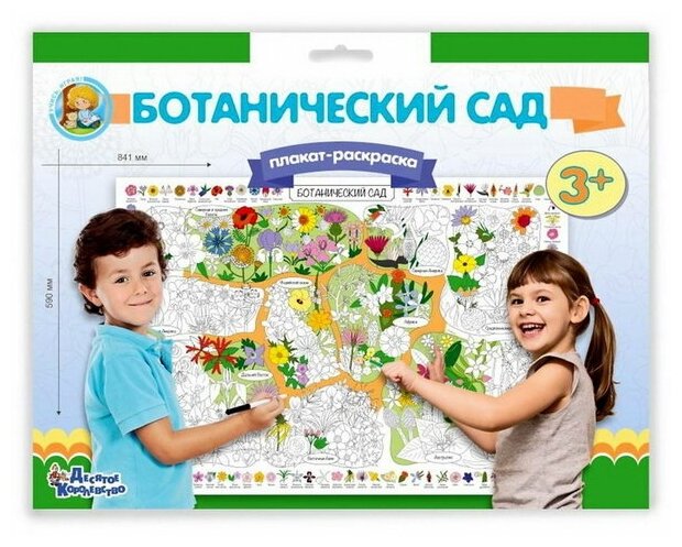 Плакат-раскраска "Ботанический сад"