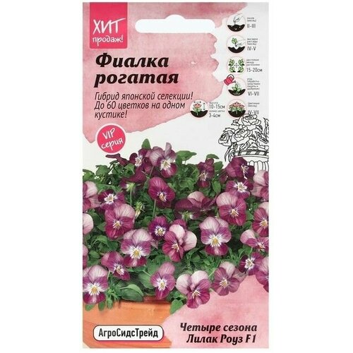 Семена Цветов Фиалка Лилак Роуз, 5 шт, 2 пачки семена цветов фиалка скай блю 5 шт 2 пачки