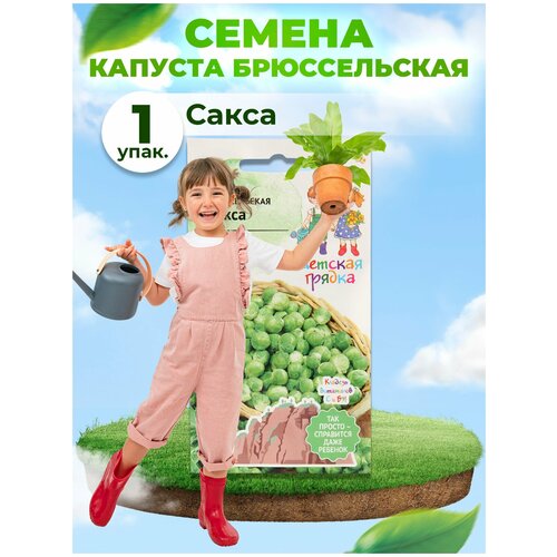 Капуста брюссельская Сакса 0,2 г Детская грядка / семена капусты для проращивания / для посадки и посева / для сада огорода / семена овощей капуста кольраби виолетта 0 3 г семена овощей капусты для проращивания для посадки и посева