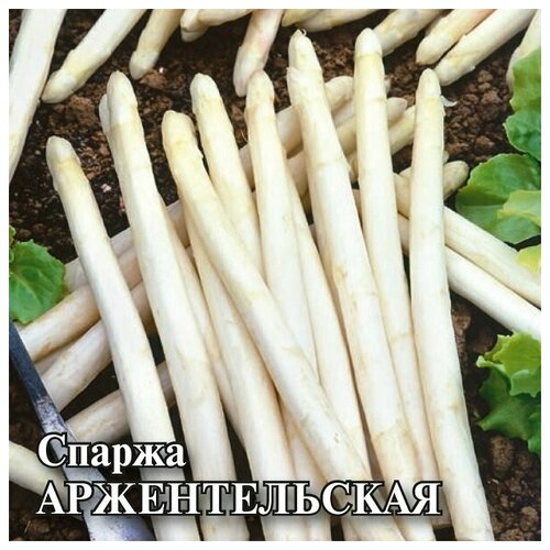 Семена. Спаржа Аржентельская (вес: 50,0 г)