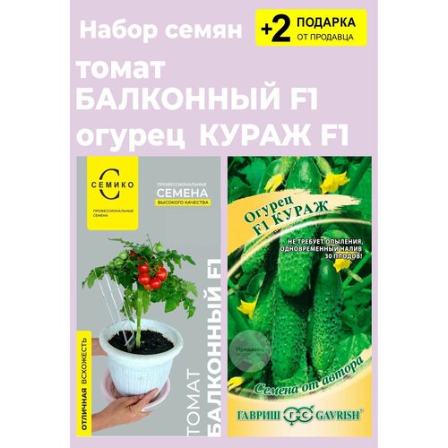 Набор семян: Томат "Балконный F1", 10 сем. + Огурец "Кураж F1", 10 сем. + 2 Подарка