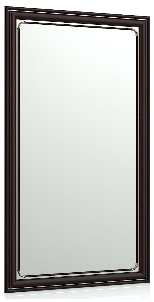 Зеркало 121С махагон, ШхВ 55х95 см., зеркала для офиса, прихожих и ванных комнат, горизонтальное или вертикальное крепление - фотография № 1