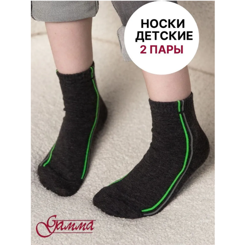 Носки Гамма 2 пары, размер 18-20(28-31), серый носки гамма 2 пары размер 16 18 серый