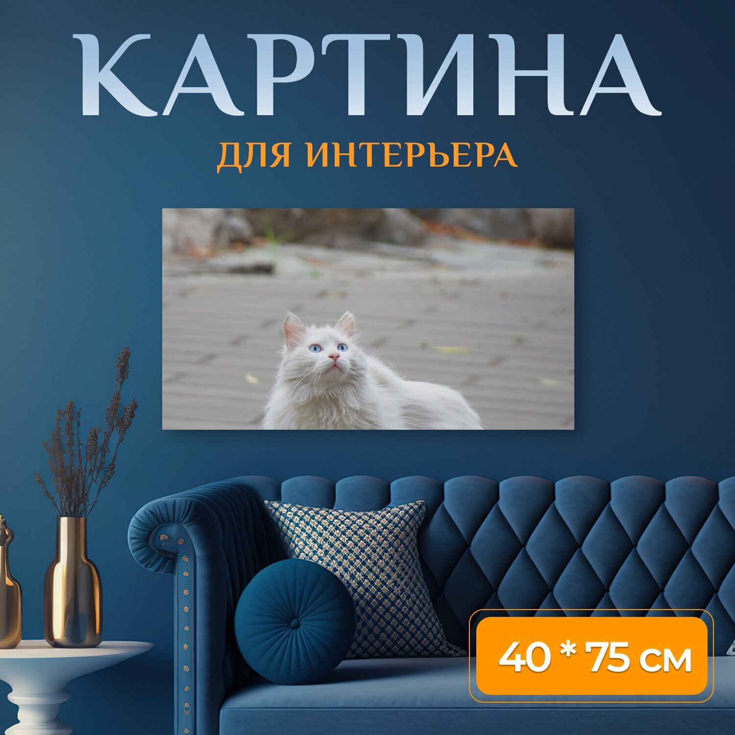 Картина на холсте "Кошка, белый, животное" на подрамнике 75х40 см. для интерьера