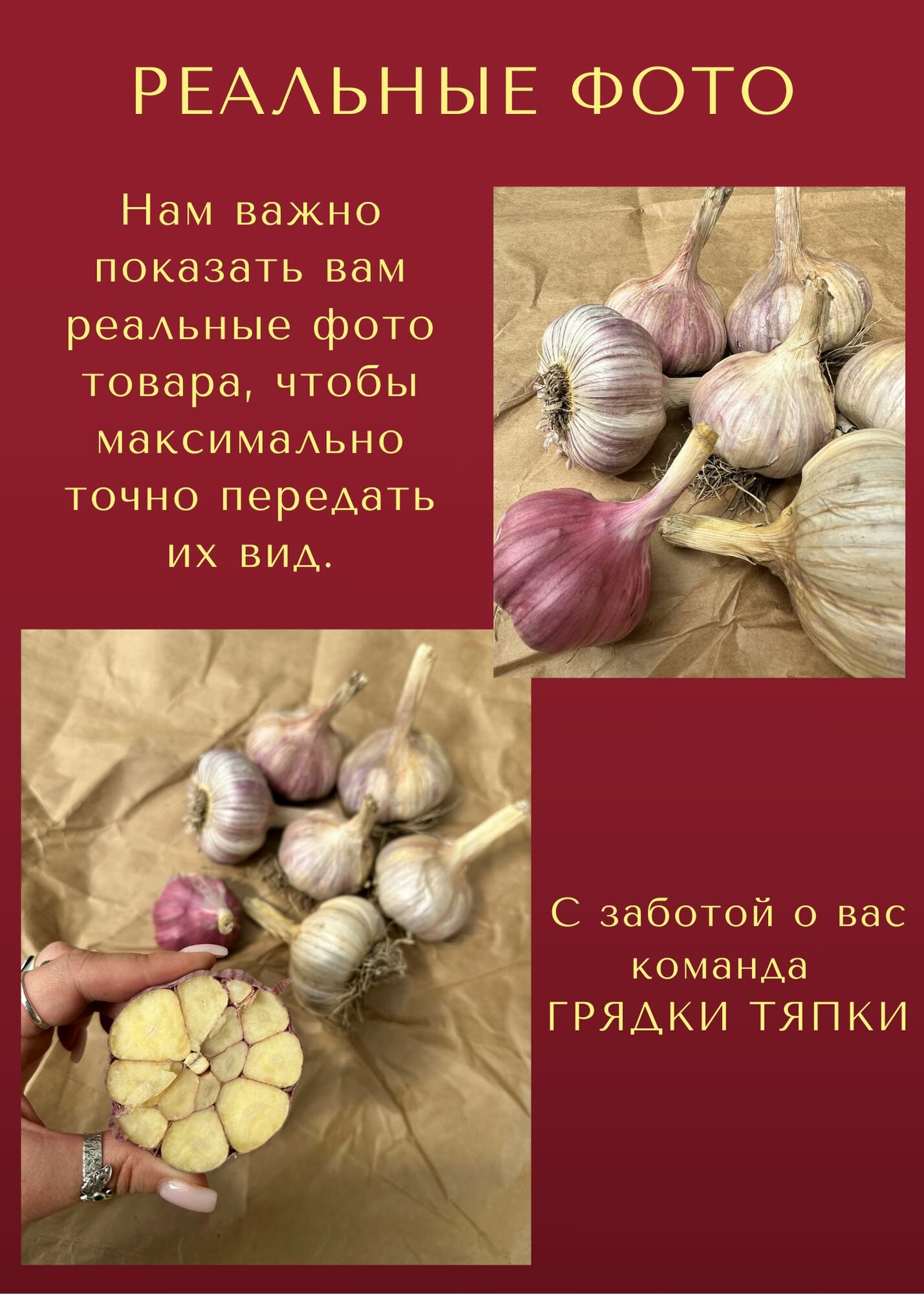 Чеснок отборный, сухой, морозостойкий, высокоурожайный Сорт озимого Чеснока 500гр. для посадки осенью, Садовый Домашний — фото 1