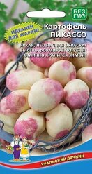 Семена Картофель Пикассо Уральский Дачник, набор 5 шт