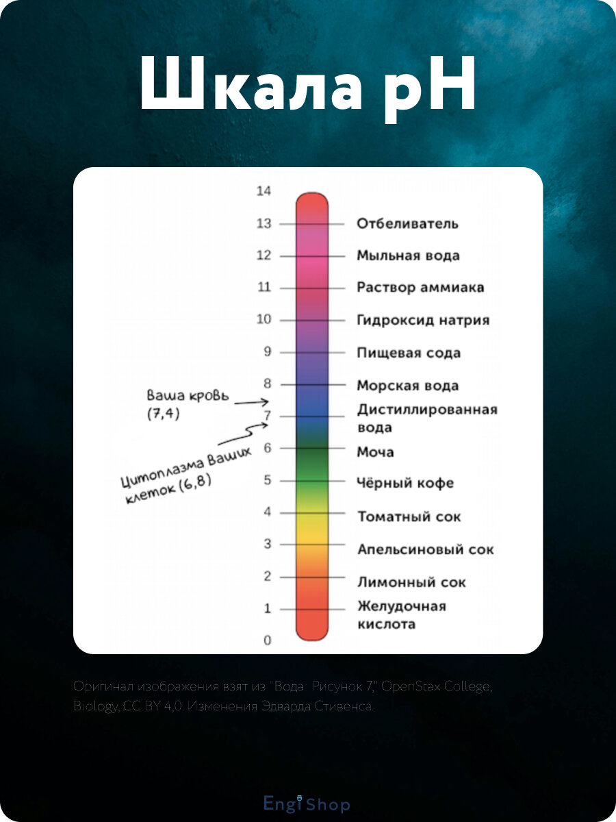 Лакмусовая бумага "pH" для определения уровня кислотности — фото 1