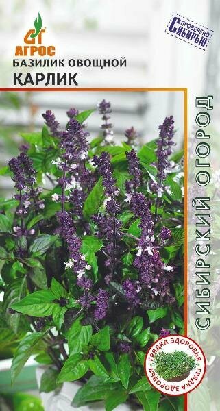 Семена Базилик Карлик 05г (Агрос)