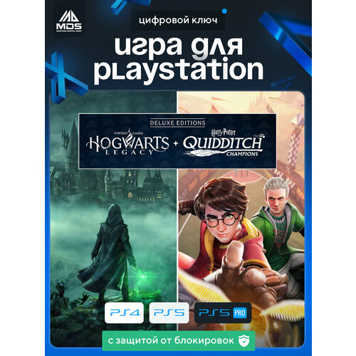 Игра Hogwarts Legacy Harry Potter Quidditch Champions для Sony PlayStation 4 5 бессрочная активация на консоли 6700₽