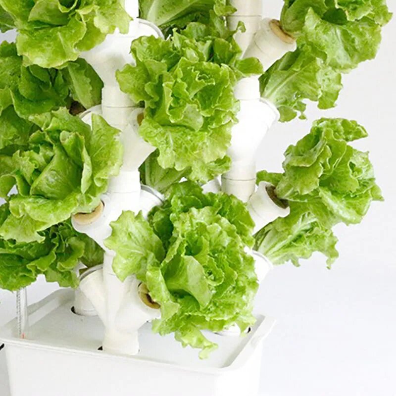 Установки Гидропонные Гидропонная система MDNG Hydroponic Boxes, Белый