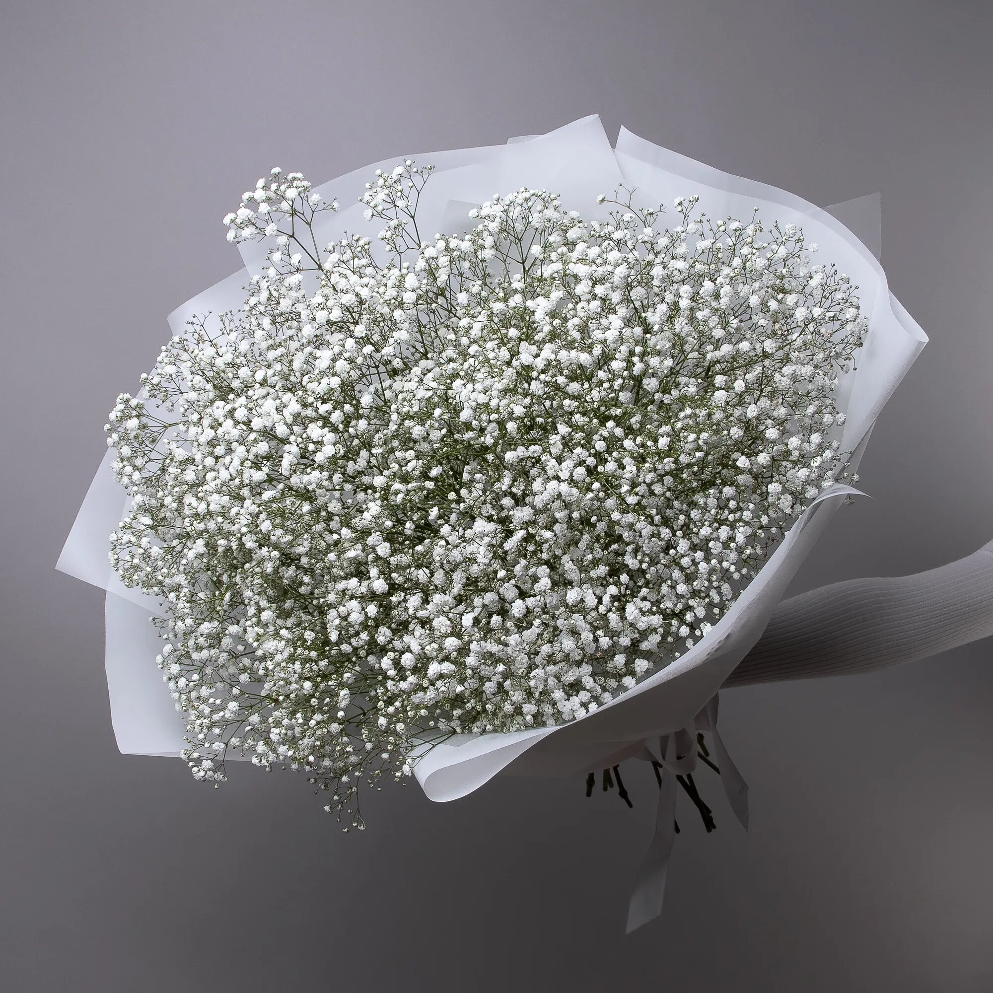 Букет Гипсофила "Белая" 5 шт Высота 80 см в коробке и аквабоксе от "Простоцветы"