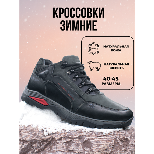 G-TECH