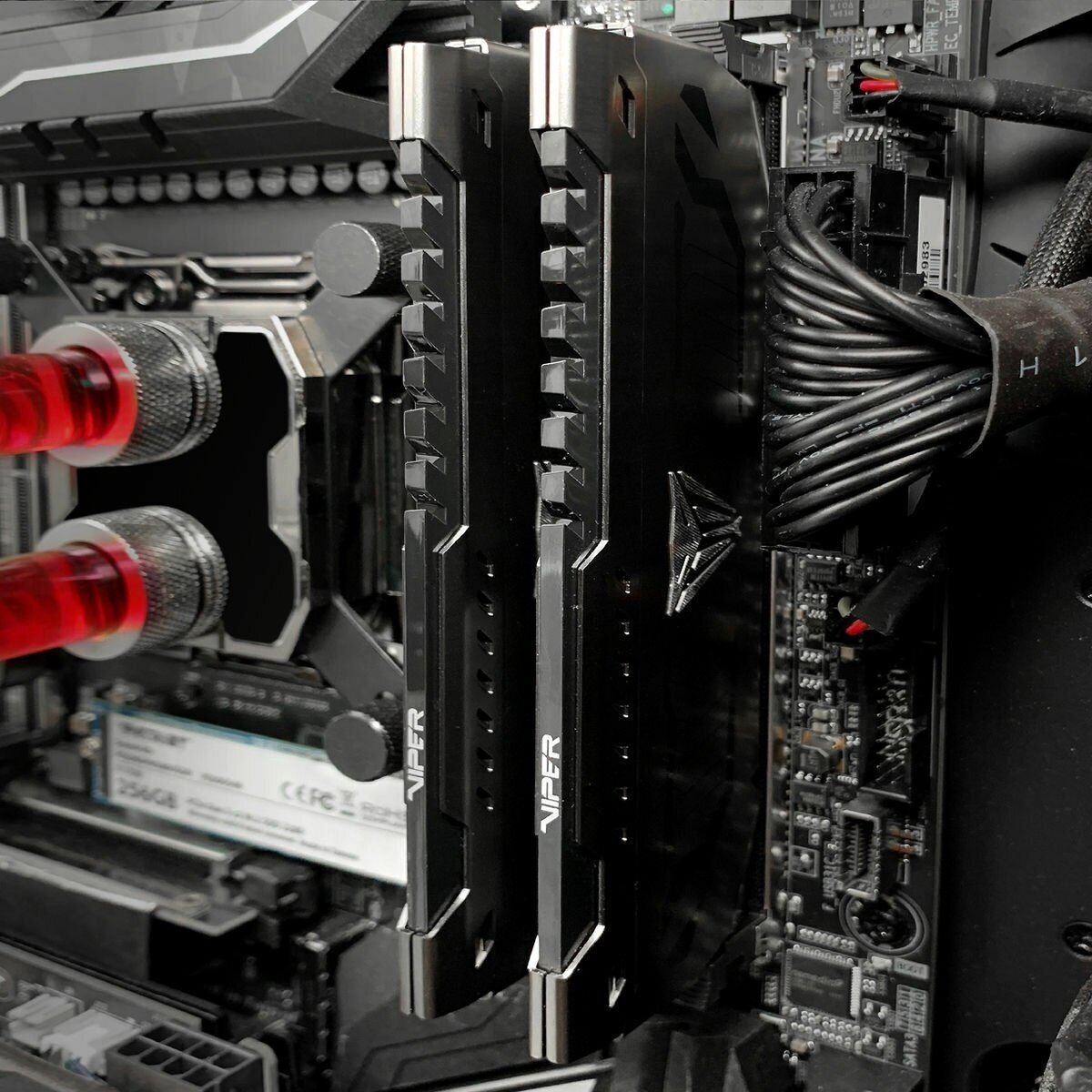 Модуль памяти PATRIOT Viper Steel DDR4 - 2x 8Гб 4400, DIMM, Ret - фото №4