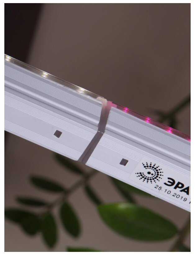 Настенный светодиодный светильник ЭРА Prom Fito-14W-Т5-N Б0045232 . - фотография № 9