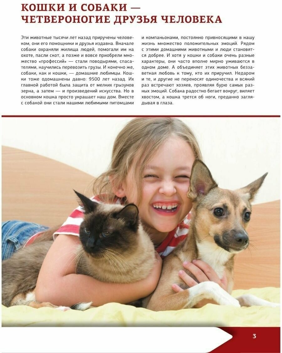 Большая энциклопедия о кошках и собаках - фото №6