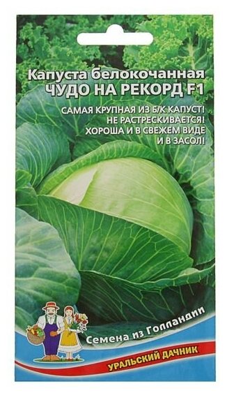 Семена Капусты белокочанной "Чудо на рекорд" F1 позднеспелый, крупнокочанный, 0,3 г
