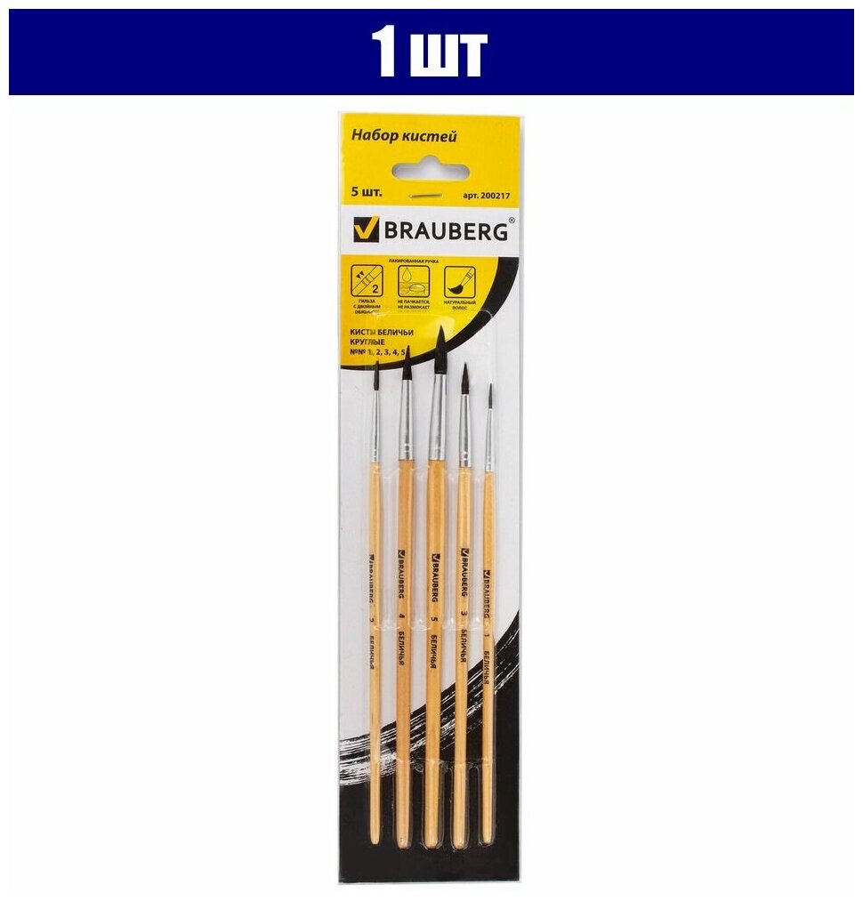 Набор кистей BRAUBERG белка, круглые, с короткой ручкой, №5, 5 шт., блистер, разноцветный - фото №4