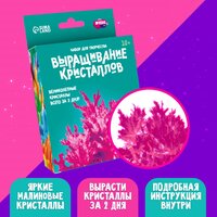 Набор для творчества "Лучистые кристаллы", цвет малиновый