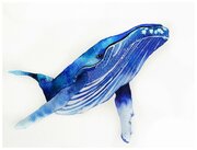Постер / Плакат / Картина Большой синий кит 40х50 см в подарочном тубусе