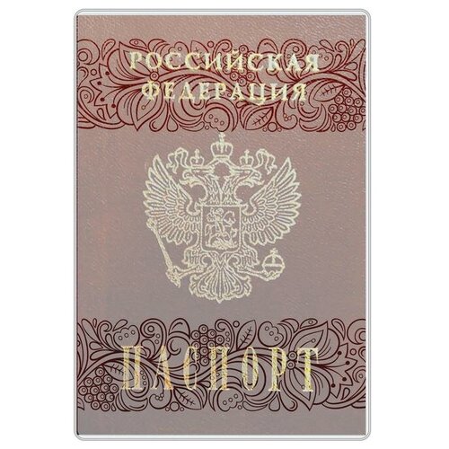 Обложка для паспорта DPSkanc 723931, бесцветный