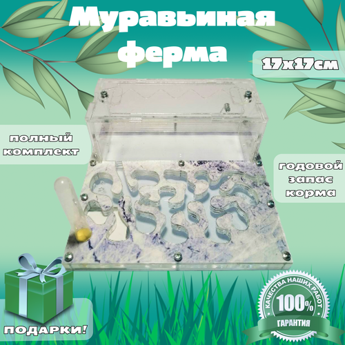 Муравьиная ферма 
