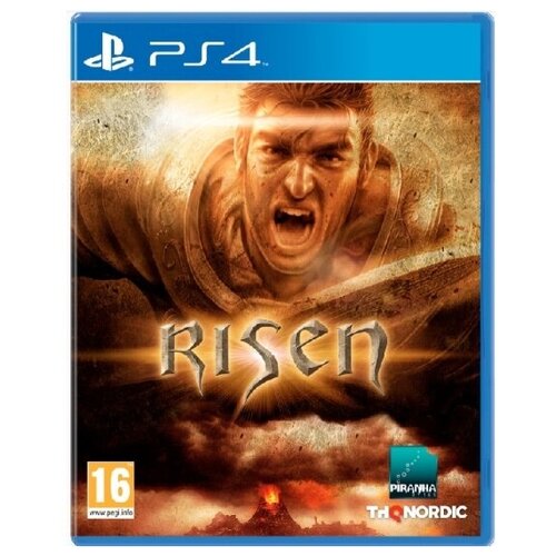 Игра PS4 Risen Стандартное издание для /PS5
