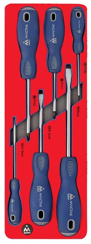 Набор отверток, ложемент, 6 предметов мастак 5-4006