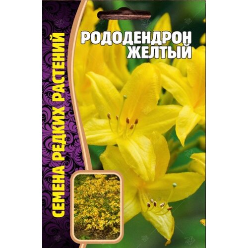 Семена Рододендрона Желтого (25 семян) семена рододендрона понтийского