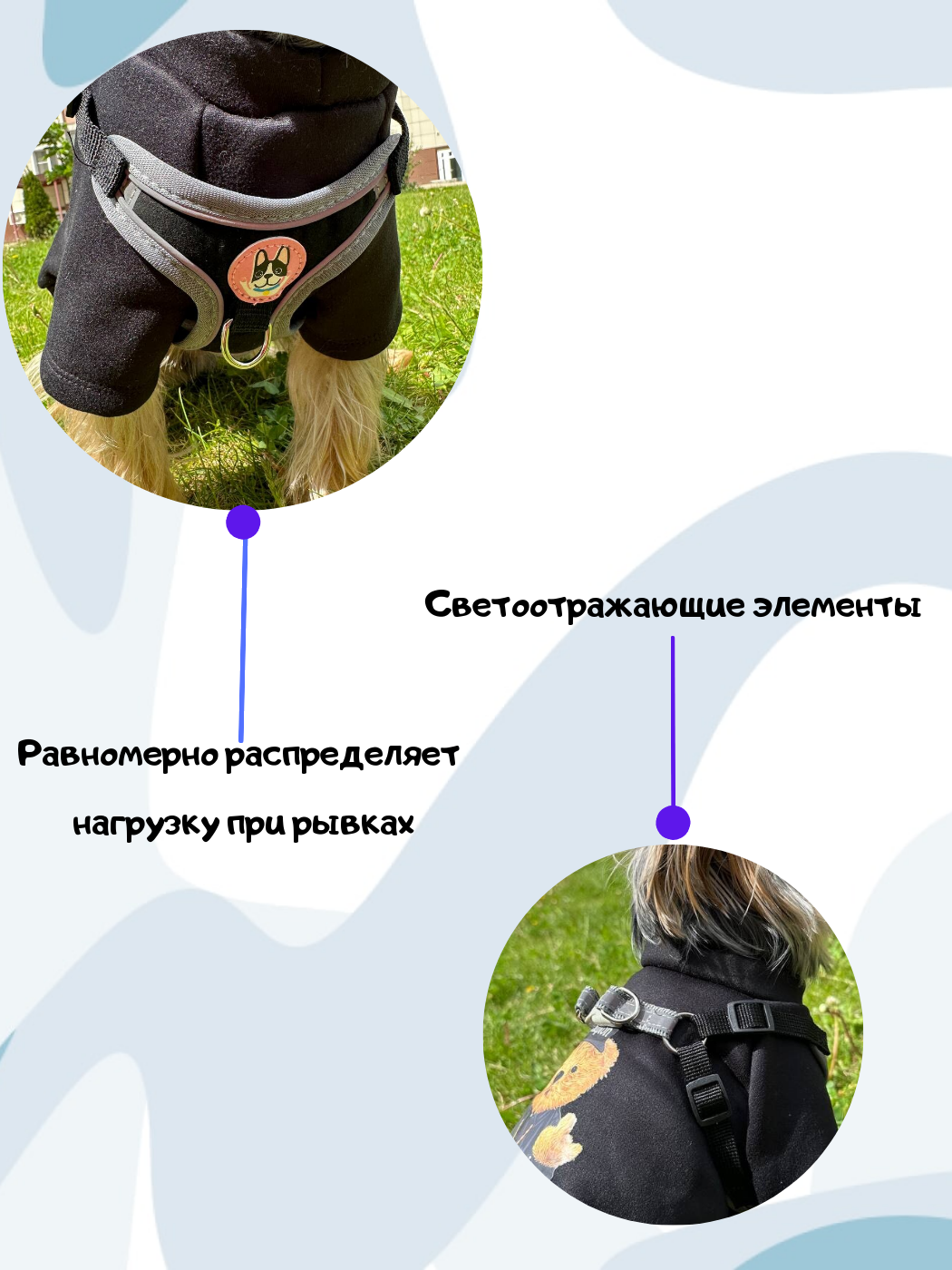 Шлейка для собак мелких и средних пород черная - фотография № 2