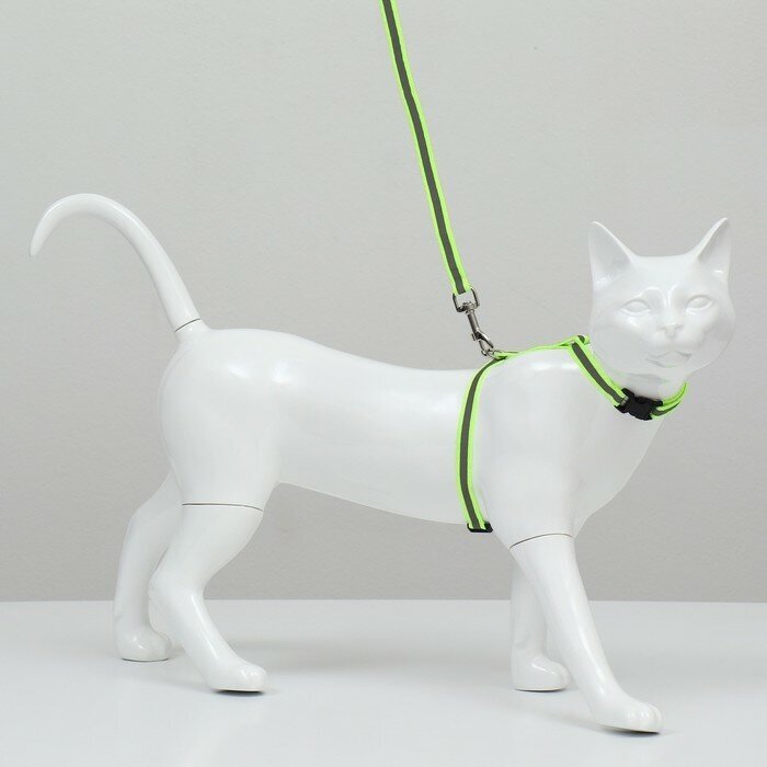 Комплект для кошек светоотражающий,ширина 1 см,шлейка 21-35 см,поводок 120 см, зелёный (1шт.) - фотография № 4