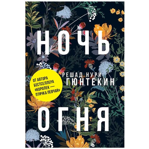 Ночь огня: роман. Гюнтекин Р. Н. Черная речка