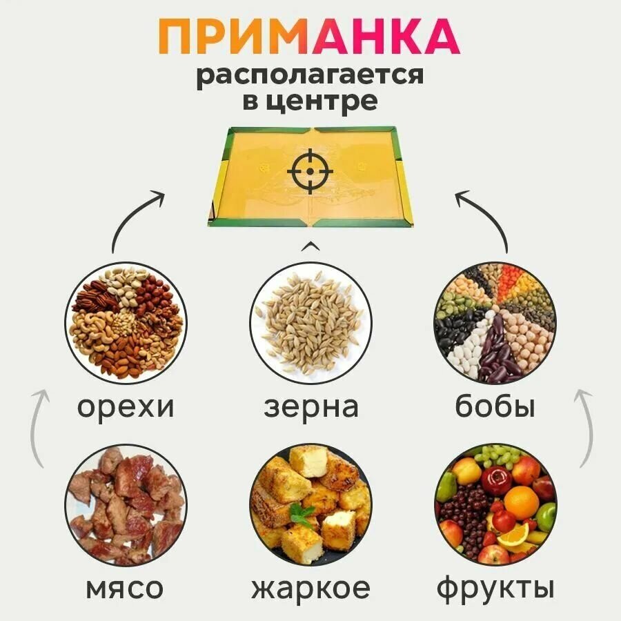 Комплект из 5шт Ловушка для мышей/Клеевые ловушки/Защита от грызунов - фотография № 4