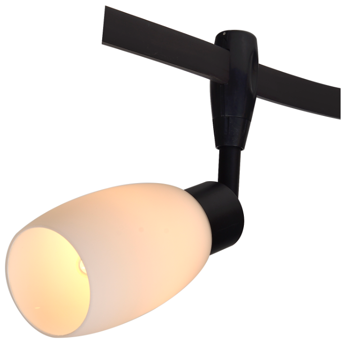 Светильник потолочный Arte Lamp A3059PL-1BK