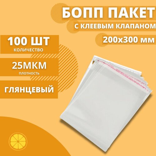 Пакеты фасовочные с клеевым клапаном 200*300+30мм. 25 мкм. (100 шт.)