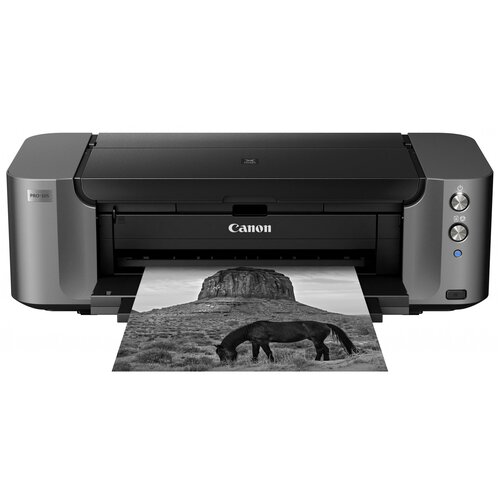 Принтер Canon PIXMA PRO-10S 4800x2400 dpi Wi-Fi 6159300₽