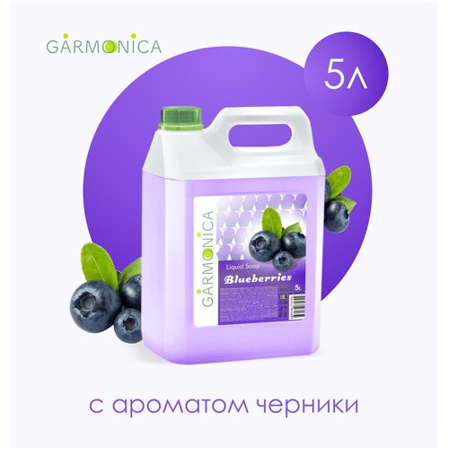 Жидкое мыло 5 литров Черника для ухода за руками и телом / Garmonica