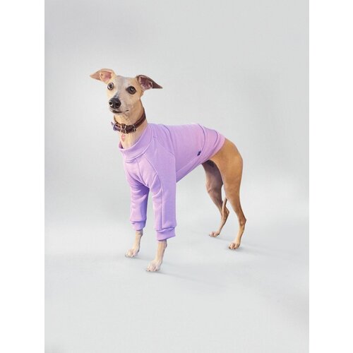 Толстовка для собак свитшот из футера для уиппета фараонова собака одежда для собак средних пород, цвет лавандовый, размер М58