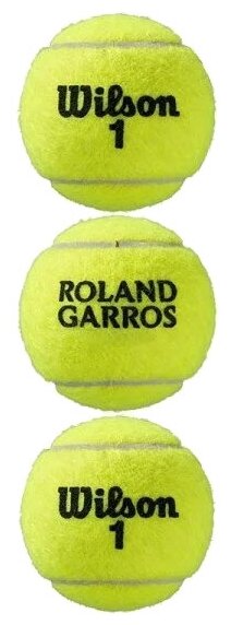 Теннисные мячи Wilson Roland Garros All Court x3