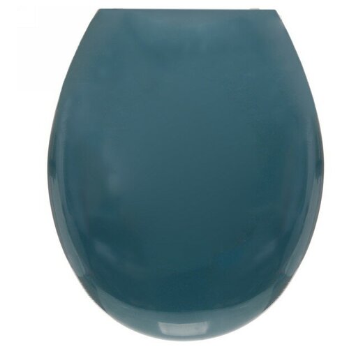 Сиденье для унитаза Лазурь 730₽