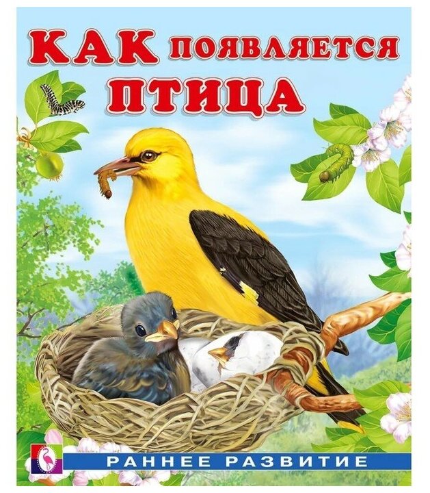 КакПоявляется.(о) Птица (Гурина И. В.)